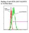 TNF Receptor Superfamily Member 18 antibody, LS-C134767, Lifespan Biosciences, Flow Cytometry image 