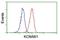 Potassium Voltage-Gated Channel Subfamily A Member Regulatory Beta Subunit 1 antibody, NBP2-45767, Novus Biologicals, Flow Cytometry image 