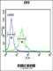 Sphingosine Kinase 1 antibody, 62-747, ProSci, Immunofluorescence image 