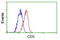 CD5 Molecule antibody, GTX84708, GeneTex, Flow Cytometry image 