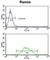 Eukaryotic Translation Elongation Factor 1 Delta antibody, abx032848, Abbexa, Western Blot image 