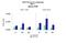 TATA-Box Binding Protein Associated Factor 1 antibody, PA5-40547, Invitrogen Antibodies, Chromatin Immunoprecipitation image 