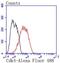 Cyclin Dependent Kinase 4 antibody, NBP2-67736, Novus Biologicals, Flow Cytometry image 