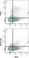 Lymphatic Vessel Endothelial Hyaluronan Receptor 1 antibody, MAB20892, R&D Systems, Flow Cytometry image 