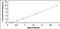 Actin Related Protein 2 antibody, MBS2023559, MyBioSource, Enzyme Linked Immunosorbent Assay image 