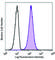 C-Type Lectin Domain Family 4 Member D antibody, 360202, BioLegend, Flow Cytometry image 