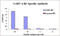 Influenza A H1N1 Hemagglutinin antibody, PM-5535, ProSci, Enzyme Linked Immunosorbent Assay image 