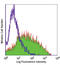 Selectin E antibody, LS-C41081, Lifespan Biosciences, Flow Cytometry image 