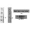 Actin Alpha 2, Smooth Muscle antibody, LS-C386827, Lifespan Biosciences, Western Blot image 