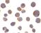 TNF Receptor Superfamily Member 10a antibody, LS-C267, Lifespan Biosciences, Immunocytochemistry image 