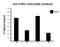 Signal Transducer And Activator Of Transcription 6 antibody, 657905, BioLegend, Chromatin Immunoprecipitation image 