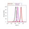 VEGF antibody, MA5-13182, Invitrogen Antibodies, Flow Cytometry image 