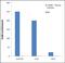 Histone Cluster 4 H4 antibody, 720087, Invitrogen Antibodies, Chromatin Immunoprecipitation image 