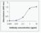 Glycogen Synthase Kinase 3 Alpha antibody, XW-7232, ProSci, Enzyme Linked Immunosorbent Assay image 