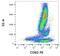 CD82 Molecule antibody, NBP2-21792, Novus Biologicals, Flow Cytometry image 