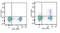 CD25 antibody, LS-C810729, Lifespan Biosciences, Flow Cytometry image 