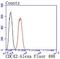 Cell Division Cycle 42 antibody, NBP2-67895, Novus Biologicals, Flow Cytometry image 