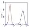 Succinate Dehydrogenase Complex Flavoprotein Subunit A antibody, 459200, Invitrogen Antibodies, Flow Cytometry image 