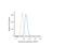 Calreticulin antibody, NBP1-47518PE, Novus Biologicals, Flow Cytometry image 