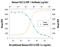 C-X-C Motif Chemokine Ligand 12 antibody, AF-310-NA, R&D Systems, Western Blot image 