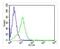 MHC class I polypeptide-related sequence A antibody, 63-555, ProSci, Immunofluorescence image 