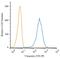 Vimentin antibody, NBP1-97670PE, Novus Biologicals, Flow Cytometry image 