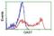 Growth Arrest Specific 7 antibody, GTX84462, GeneTex, Flow Cytometry image 