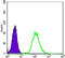 Keratin 7 antibody, STJ97991, St John
