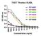 T Cell Immunoreceptor With Ig And ITIM Domains antibody, M01962-1, Boster Biological Technology, Enzyme Linked Immunosorbent Assay image 