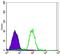 Carbonic Anhydrase 9 antibody, A01083, Boster Biological Technology, Flow Cytometry image 