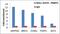 Protein Arginine Methyltransferase 5 antibody, MA1-25470, Invitrogen Antibodies, Chromatin Immunoprecipitation image 