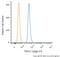 Transient Receptor Potential Cation Channel Subfamily A Member 1 antibody, NB110-40763C, Novus Biologicals, Flow Cytometry image 