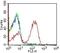 Major Histocompatibility Complex, Class II, DM Alpha antibody, NBP2-44304, Novus Biologicals, Flow Cytometry image 