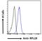 Kalirin RhoGEF Kinase antibody, 45-789, ProSci, Western Blot image 