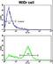 Latexin antibody, LS-B3422, Lifespan Biosciences, Flow Cytometry image 