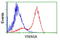 Von Willebrand Factor A Domain Containing 5A antibody, TA501571, Origene, Flow Cytometry image 