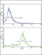 Aldehyde Dehydrogenase 6 Family Member A1 antibody, 57-922, ProSci, Immunofluorescence image 