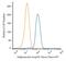 Adiponectin, C1Q And Collagen Domain Containing antibody, NB100-65810AF647, Novus Biologicals, Flow Cytometry image 