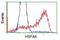 Heat Shock Protein Family A (Hsp70) Member 6 antibody, GTX84333, GeneTex, Flow Cytometry image 