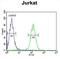 Axin 2 antibody, abx032512, Abbexa, Flow Cytometry image 