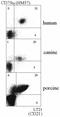 Complement C3d Receptor 2 antibody, LS-C45947, Lifespan Biosciences, Flow Cytometry image 