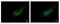 Pleckstrin antibody, PA5-21753, Invitrogen Antibodies, Immunofluorescence image 