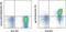 Interleukin 6 Signal Transducer antibody, 13-1308-80, Invitrogen Antibodies, Flow Cytometry image 