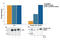 NF-kappa-B inhibitor alpha antibody, 7360S, Cell Signaling Technology, Enzyme Linked Immunosorbent Assay image 