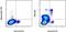 Interferon Regulatory Factor 8 antibody, 12-9852-82, Invitrogen Antibodies, Flow Cytometry image 