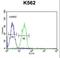 CMRF35-like molecule 1 antibody, LS-C168845, Lifespan Biosciences, Flow Cytometry image 