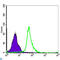 Nuclear Factor Kappa B Subunit 1 antibody, LS-C812720, Lifespan Biosciences, Immunohistochemistry paraffin image 