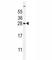 Ubiquitin D antibody, F40095-0.4ML, NSJ Bioreagents, Western Blot image 