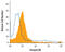 Integrin Subunit Beta 6 antibody, AF4155, R&D Systems, Western Blot image 