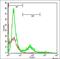 TNF Receptor Superfamily Member 21 antibody, orb101582, Biorbyt, Flow Cytometry image 